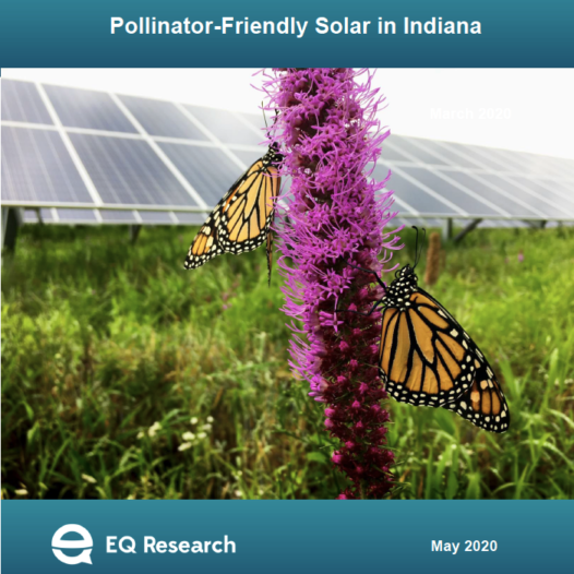 Pollinator-Friendly Solar in Indiana